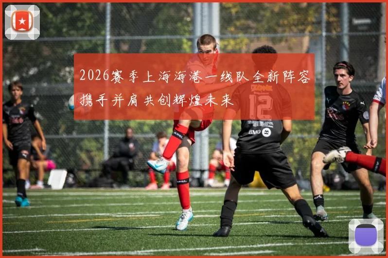 2026赛季上海海港一线队全新阵容携手并肩共创辉煌未来