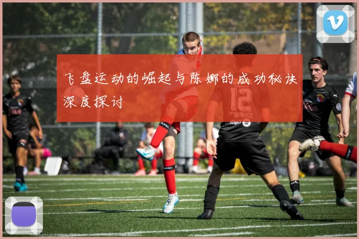 飞盘运动的崛起与陈娜的成功秘诀深度探讨