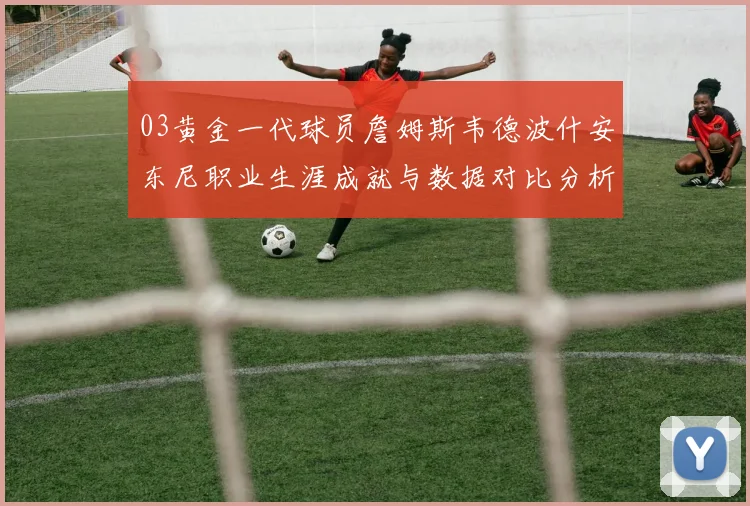 03黄金一代球员詹姆斯韦德波什安东尼职业生涯成就与数据对比分析