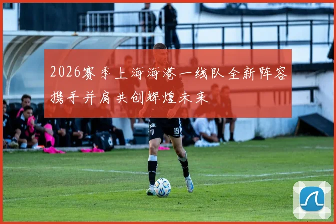 2026赛季上海海港一线队全新阵容携手并肩共创辉煌未来