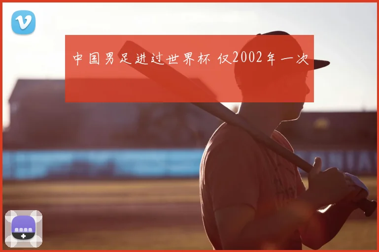 中国男足进过世界杯 仅2002年一次